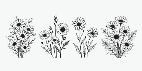 Hand drawn chamomile set and daisy floral illustration