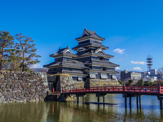 Fototapeta premium 【長野県】国宝・松本城