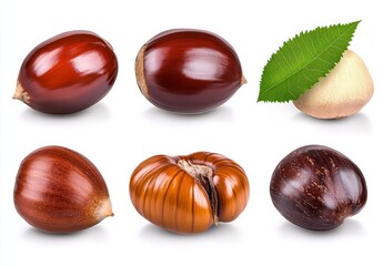 Collection of chestnuts in various positions and stages, showcasing their rich brown hues and unique textures against a clean white background. One chestnut is shown with a partially opened shell.