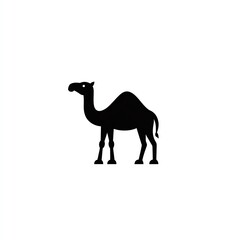 Fototapeta premium ElegantCamelSilhouetteAminimalistblackandwhitegraphicdesignofacamelstandingagainstapurewhitebackground