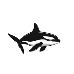 MajesticOrcaSwimmingGracefullyInOceanDepths,BlackAndWhiteIllustration