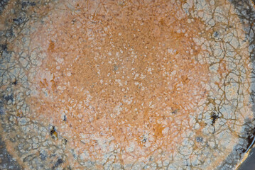 Closeup to sueface of Effective Microorganisms in Bin 