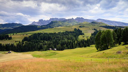 pascoli all'alpe di Siusi © Roberto Zocchi
