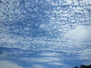 하늘의 양떼 구름