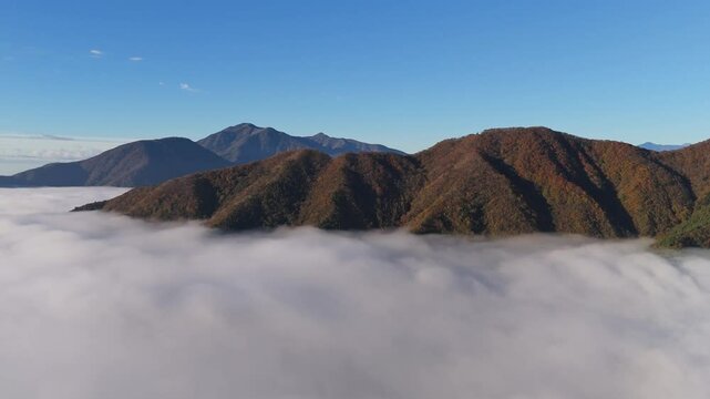 Mt. Fuij Japan Drone