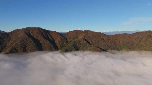 Mt. Fuij Japan Drone