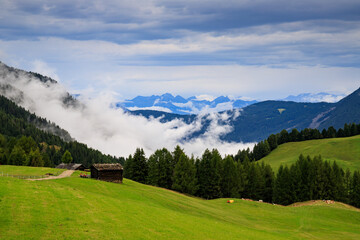 pascoli all'alpe di Siusi © Roberto Zocchi