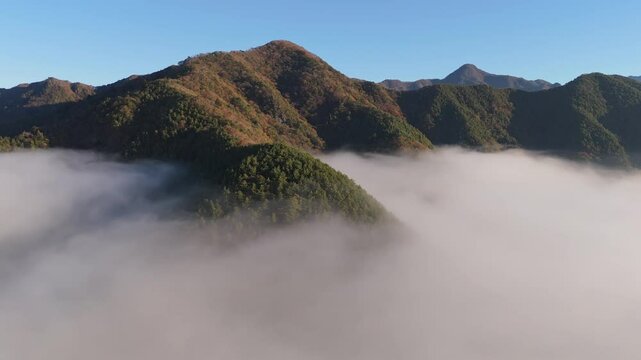Mt. Fuij Japan Drone