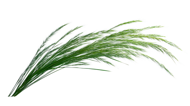 Whispers of Green: A close-up shot of a vibrant cluster of green grass blades, a symbol of nature's delicate beauty and resilience. 