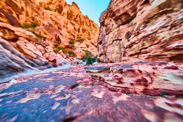 Red Rock Canyon Cliffs and Sedimentary Layers at Ground Level