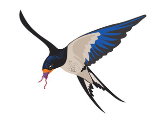 Spring swallow with bright blue feathers carrying red worm in its beak. Vector isolated texture vector drawing of bird flying in air. Beautiful color pattern in trendy style. Orange, blue, beige, gray