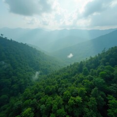 Fototapeta premium Stunning Rainforest Photography: Capturing the Essence of Southeast Asia's Wild Beauty