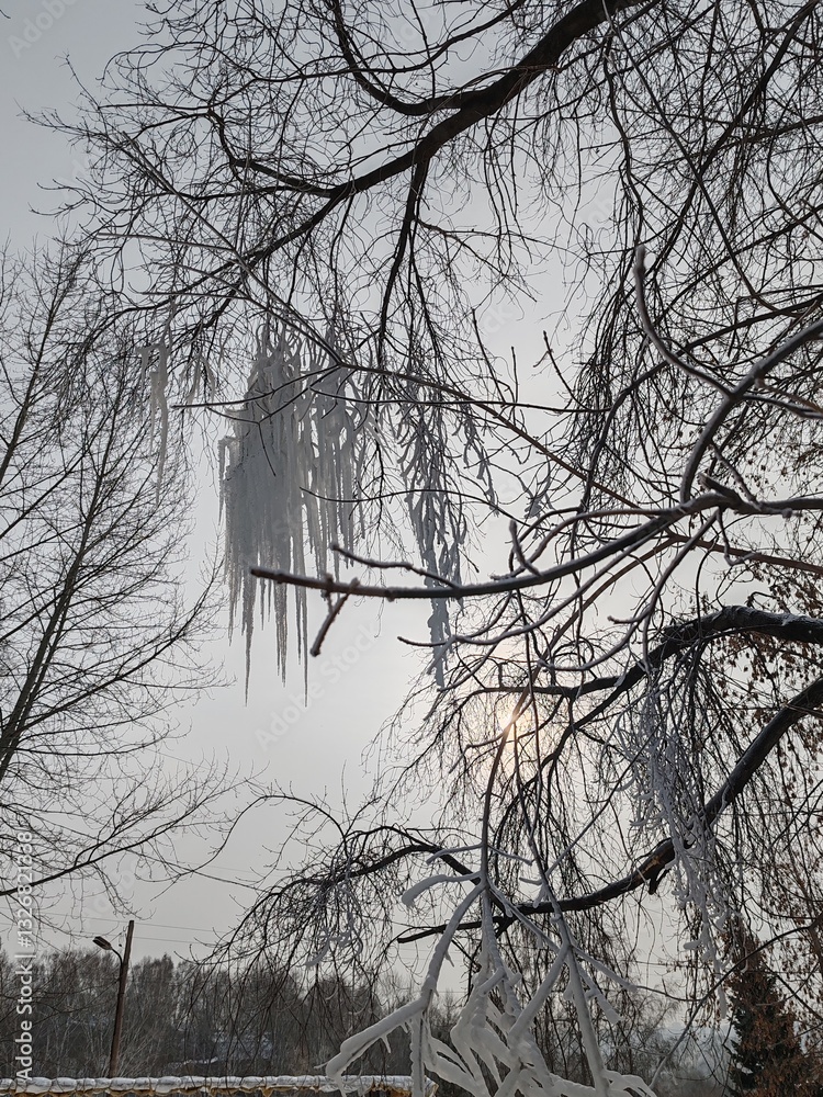 Poster a tree with icicles hanging from it