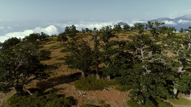 clouds over the mountains