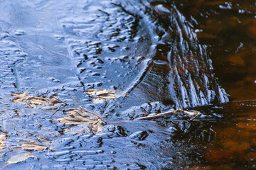 Frozen Leaves and Vegetation on Lake Surface Close Up