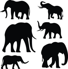 Silhouette set of elephant isolated on white background, vector illustration.
