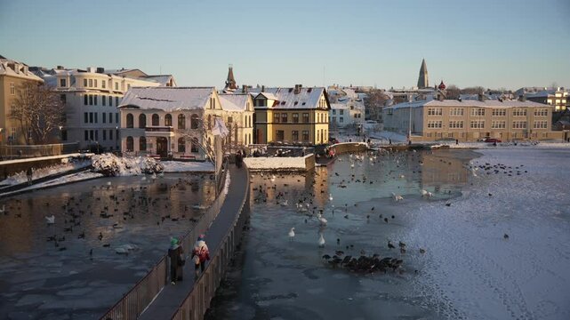View of wildlife on Tjornin lake and Hallgrimskirkja in the background in winter, Reykjavik, Iceland