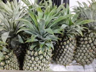 several green pineapples in the same container © GregoriusYP