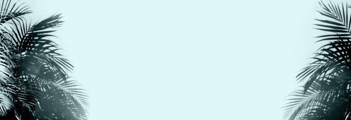 Selective focus.Abstract of tropical palm leaves casting intricate shadows on a wall, creating a natural and artistic contrast between light and shadow.Not ai generated