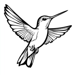 Fototapeta premium Elegant Hummingbird in Flight, Wings Spread Wide, Black and White Illustration, Nature Art