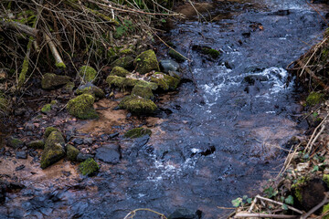 A clean, clear stream in a forested area. A small brook flows through a wooded area. Moss-covered rocks line the edges of the stream, and bare branches are scattered around.