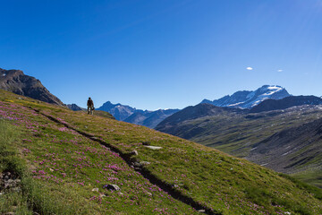 panorama nel parco del Gran Paradiso. Sullo sfondo il Gran Paradiso