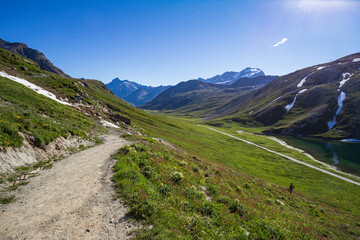 sentiero nel parco del Gran Paradiso. Sullo sfondo il Gran Paradiso