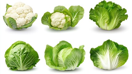 Fototapeta premium Fresh Green and White Vegetables: Cauliflower and Cabbage