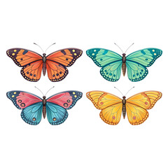 Colorful Butterfly