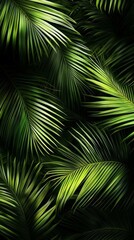 This wallpaper design brings the essence of the tropics into any space with its shadow play.