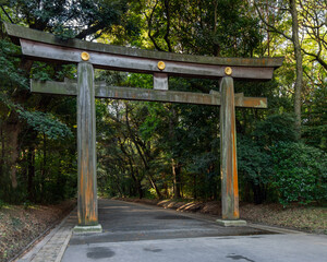 Massive wooden torii gate at Meiji Shrine in Tokyo standing at the entrance of a quiet forest path surrounded by dense green trees illuminated by soft morning sunlight
