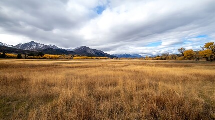 Expansive autumn landscape showcasing golden grass with mountains under a dramatic cloudy sky : Generative AI