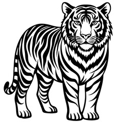 Black and White Tiger Illustration