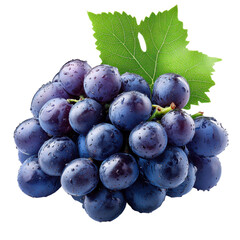 violet grapes on a transparent PNG, background. ripe purple berries with green leaves.