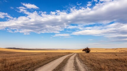 Fototapeta premium Wide and sandy dirt road stretching through a vast open landscape under a bright blue sky : Generative AI