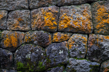 Rough stone wall with bright orange lichen and green moss forming a natural texture suitable as a background for creative projects and design applications