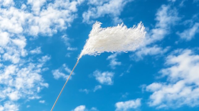 Fluffy White Pampas Grass Against a Blue Sky Creating a Beautiful Nature Composition : Generative AI