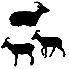 Goat Silhouette Vector Illustration