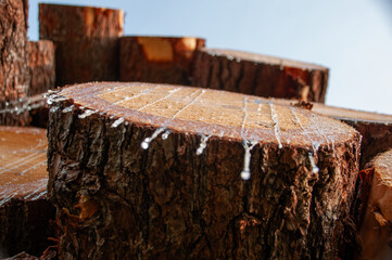 Low-angle view of stacked tree logs with resin dripping under sunlight, emphasizing natural patterns and textures.