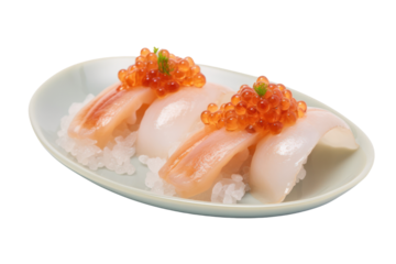 Side view of two beautifully crafted squid sushi pieces, each placed on a small mound of rice, isolated on white background