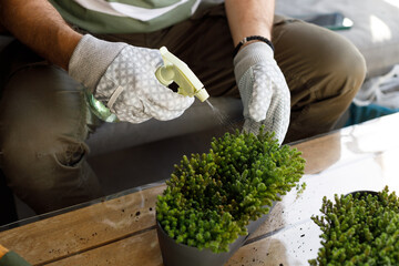 Photo of a man replanting plants on the balcony of loft apartment