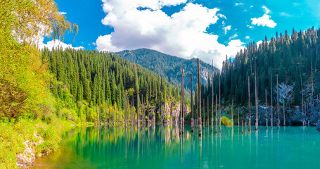 Sunken forest of Lake Kaindy in Kazakhstan. Beautiful mountain natural landscape. A blue lake with tree trunks sticking out of it. Panoramic view of the reserve.
