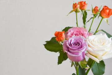 カラフルな薔薇