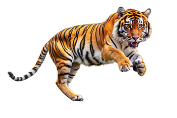 Naklejka premium Majestic Tiger Jumping from Shrubbery isolated on white background as transparent. PNG.AI GENERATED