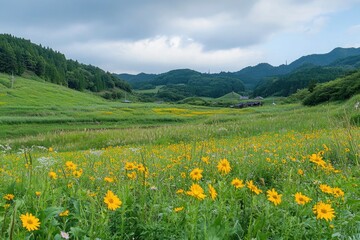 Obraz premium Lush Meadow with Yellow Flowers and Mountains