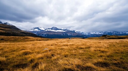 Vast Golden Field with Dry Grass and Majestic SnowCapped Mountains Under a Dramatic Cloudy Sky : Generative AI
