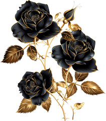 Elegant black roses with golden accents