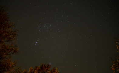 Astrofotografie, Sternenhimmel Aufnahme aus dem Krüger National Park  © Natascha