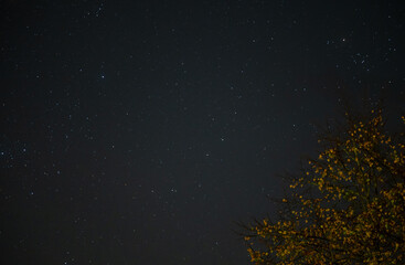 Astrofotografie, Sternenhimmel Aufnahme aus dem Krüger National Park 