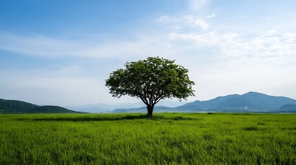 Obraz premium Solitary tree standing tall in a lush green field against a clear blue sky : Generative AI
